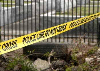 Woman Fatally Shot While Walking Through Delaware Field as Hunter Fires From Blind; Hunter Charged With Manslaughter